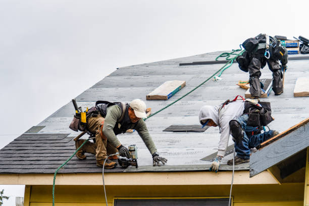 Professional Gutter Installation technician working in Points, WV